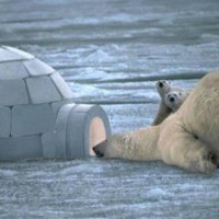 Image2 Soyez le premier à partir en expédition polaire avec vos élèves